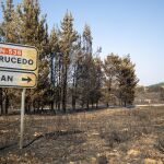 Suelo quemado en la provincia leonesa
