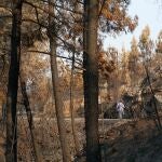 Imagen de archivo del incendio de Larouco-Seadur (Ourense)