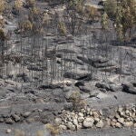 Portugal.- Portugal ya no tiene ningún gran fuego activo en su peor ola de incendios forestales