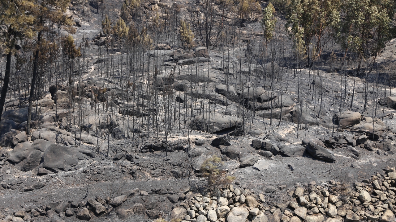 Las autoridades portuguesas confirman que gran parte del perímetro del incendio forestal de Vinhais está bajo contro