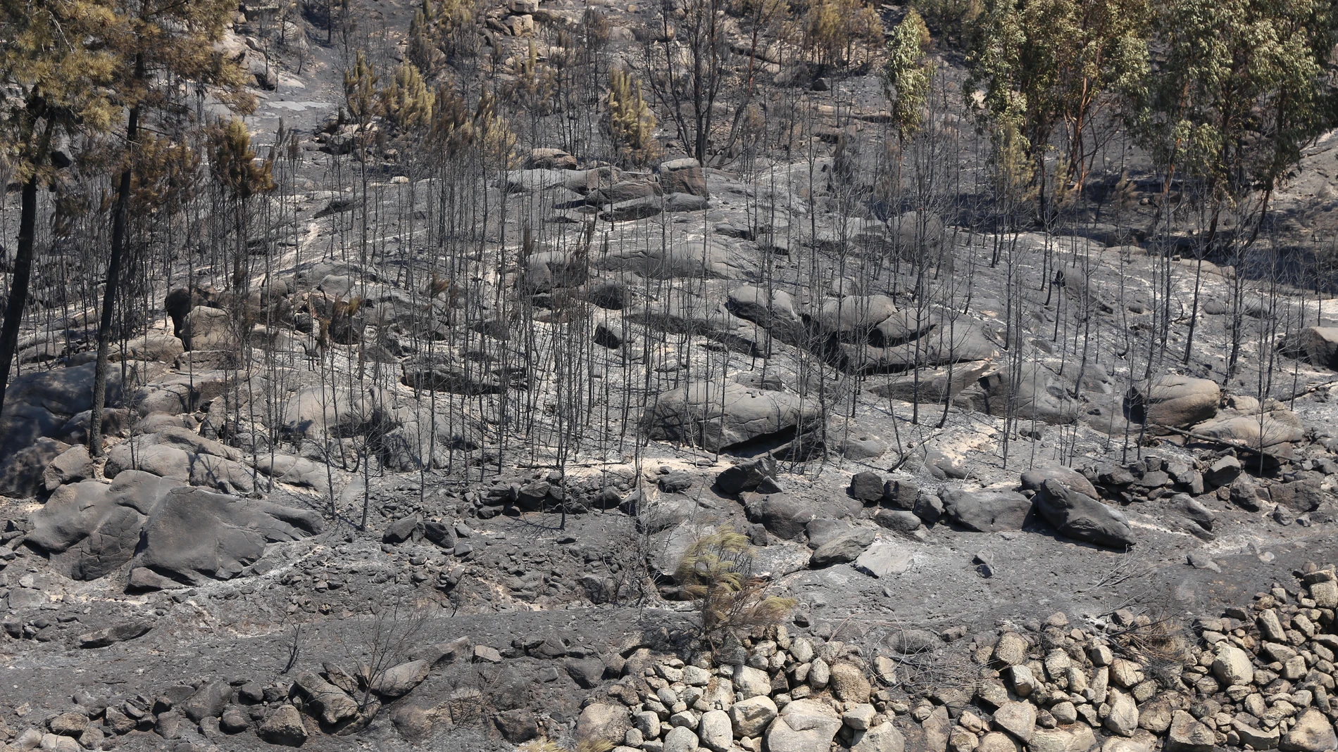 LISBON, Aug. 22, 2025 -- This photo taken on Aug. 22, 2025 shows an area devastated by the wildfire in Castelo Novo, central Portugal. Wildfires raging across central Portugal's Gardunha mountains have encircled several historic villages, forcing evacuations and leaving others under siege. TO GO WITH Feature: In Portugal's historic villages, flames test endurance and hope Europa Press/Contacto/Xun Wei 22/08/2025 ONLY FOR USE IN SPAIN