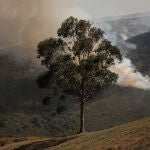 El de Avión (Orense) fue el último incendio estabilizado en la comunidad. 