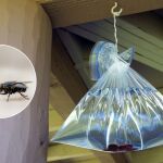 Con solo una bolsa de plástico con agua y unas monedas dentro tendrás el invento del año
