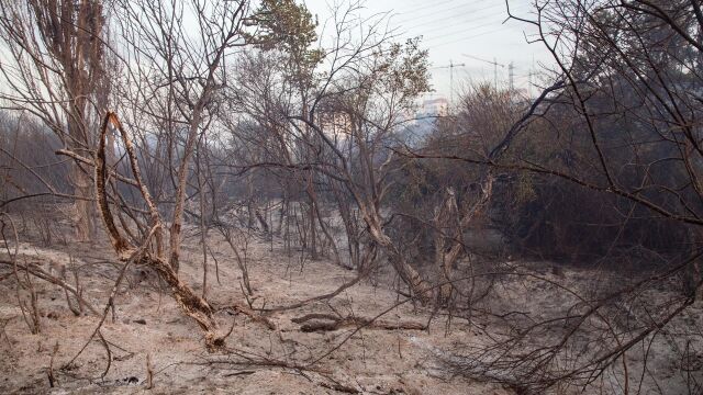  Controlado en una hora un incendio en una zona de pastos en Tres Cantos