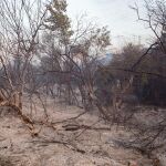  Controlado en una hora un incendio en una zona de pastos en Tres Cantos