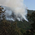 Incendio forestal en la provincia de León