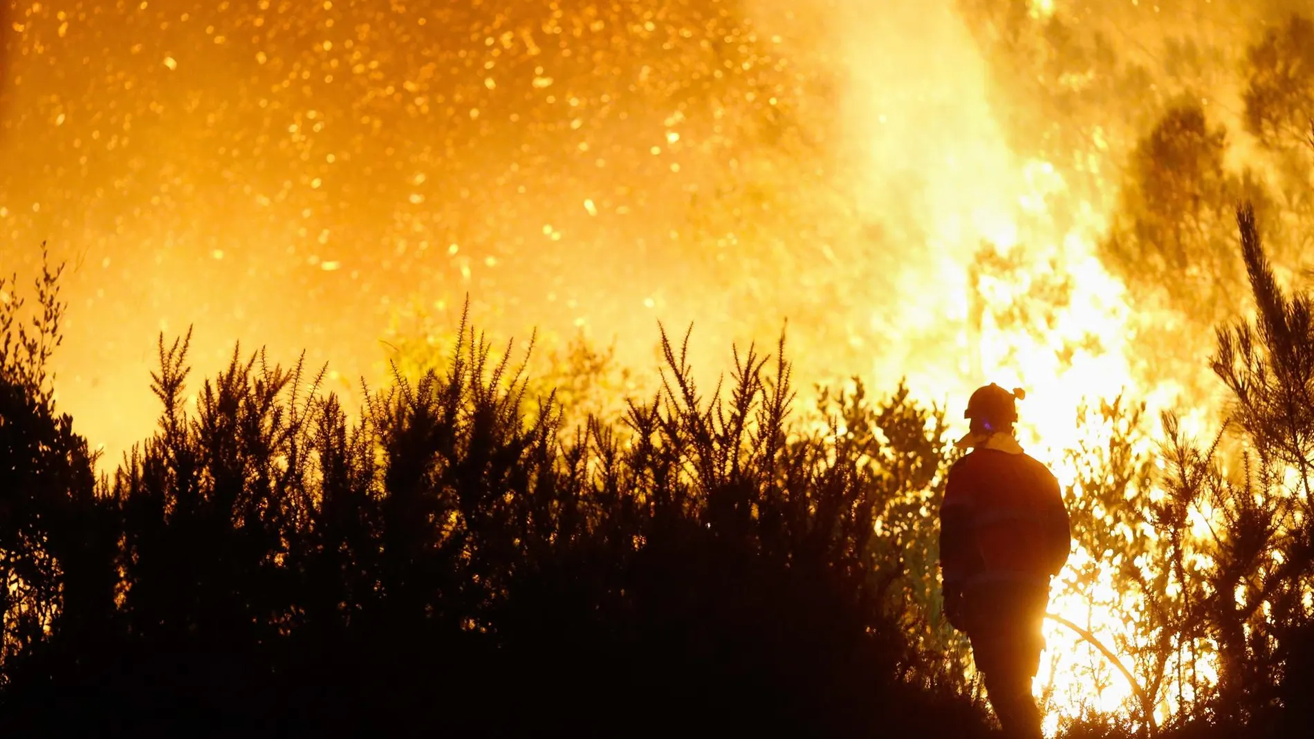 Bolaños avanza que el Gobierno trabaja para "agilizar" las ayudas a los afectados por los incendios