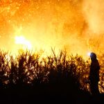 Los incendios han quemado más de 362.000 hectáreas en toda España entre el 1 y el 21 de agosto, según Copernicus