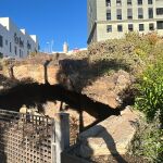 Desalojan una cueva ocupada en Canarias y sorprende lo que encontraron dentro
