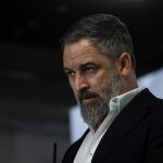 Abascal pide "confiscar y hundir" el barco de "negreros" Open Arms, atracado en Tenerife