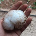 Bolas de granizo caídas este miércoles en Zaragoza.