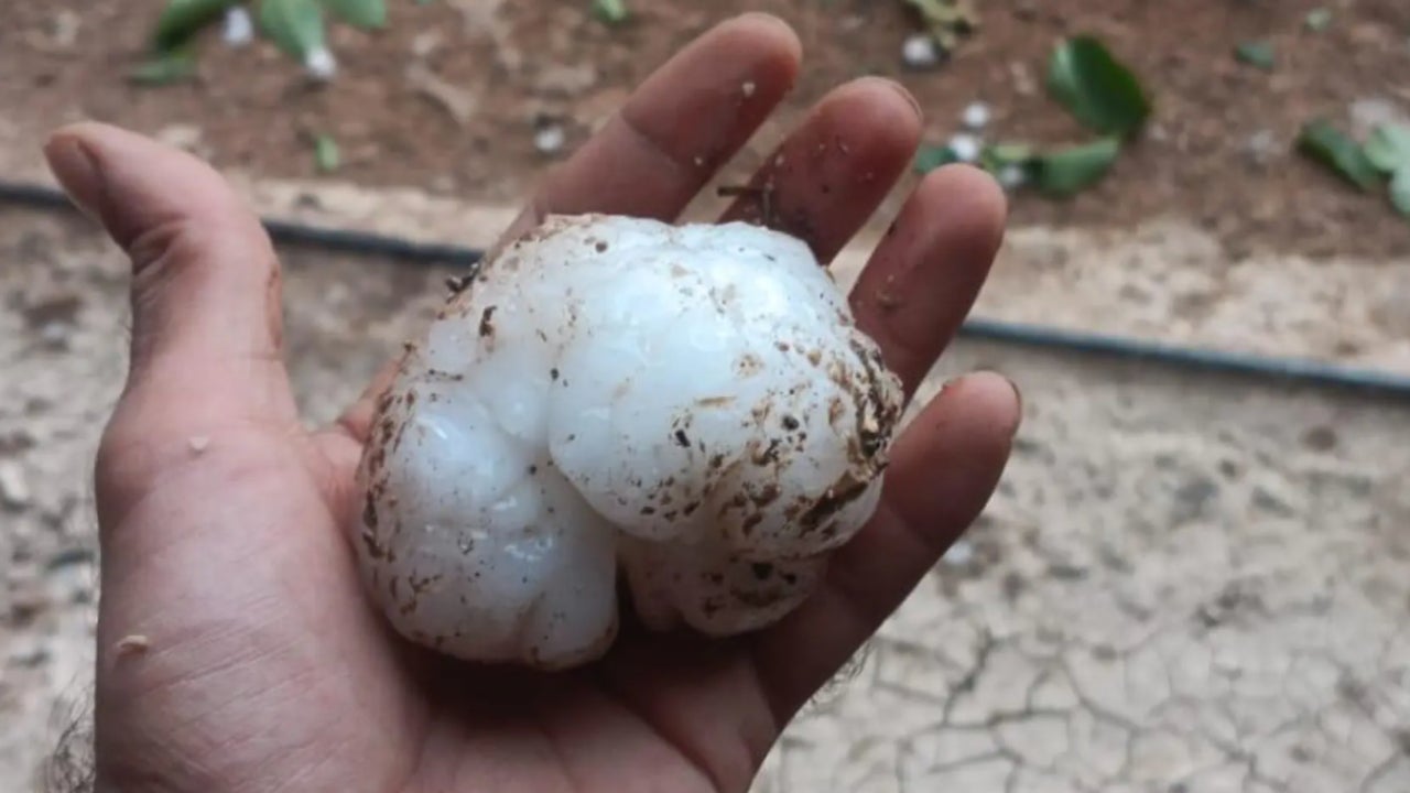 Una metralla de granizo de gran tamaño (5 cm.) daña gravemente la fuente de sustento de estos pueblos aragoneses