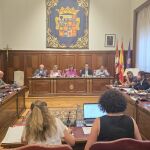 Pleno de la Diputación de Palencia 