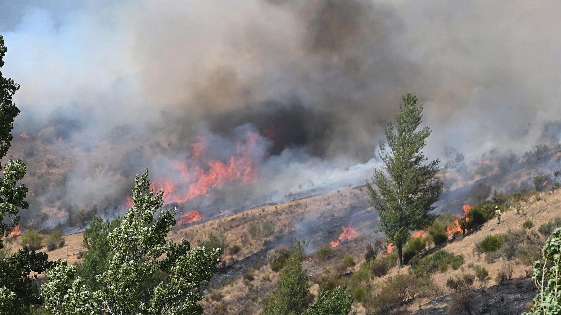 FASGAR (LÉON), 28/08/2025.- El incendio que quema Fasgar (León) desde el pasado 8 de agosto -21 días-, con la incapacidad de los medios de extinción de atacar directamente en muchas ocasiones las llamas, posee unas condiciones "nunca vistas", según relatan los medios que tratan de sofocarlo, ha destacado la Junta de Castilla y León. EFE/ J. Casares