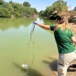 Imagen de archivo de una operaria durante los trabajos de seguimiento del Parque del Tamarguillo