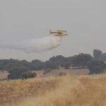 Incendio entre Malillos y la Cernecina