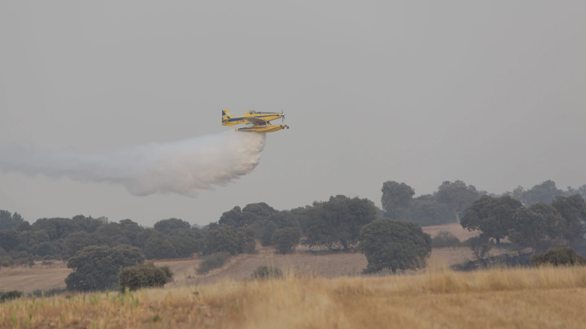 Incendio entre Malillos y la Cernecina