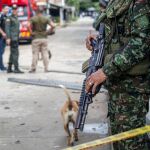 Colombia.- Liberados los 34 militares secuestrados tras un operativo contra las FARC en Guaviare (Colombia)