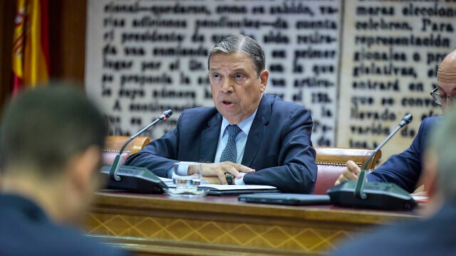 Planas comparece ante la Comisión de Interior en el Senado sobre los incendios forestales