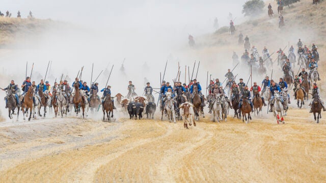 Primero de los encierros de las fiestas en honor a la Virgen del Rosario, con toros de la ganadería Araúz de Robles