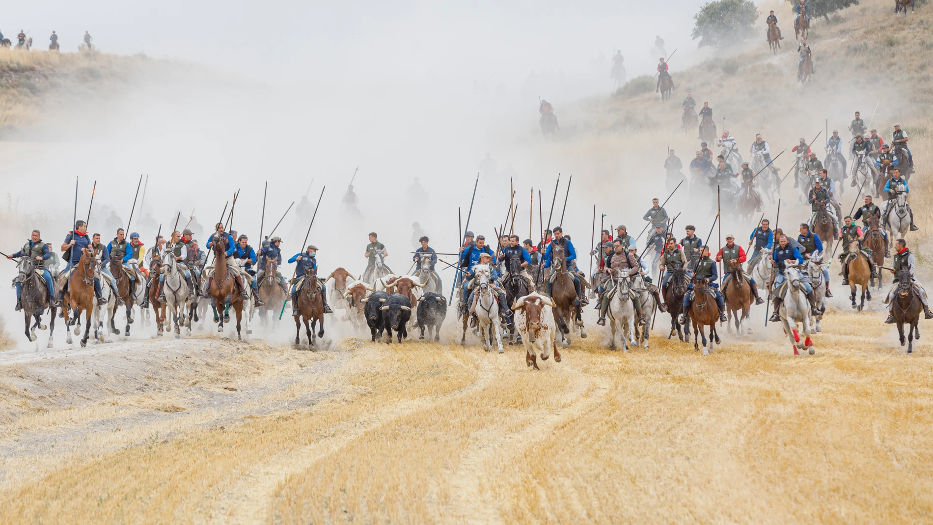 Primero de los encierros de las fiestas en honor a la Virgen del Rosario, con toros de la ganadería Araúz de Robles