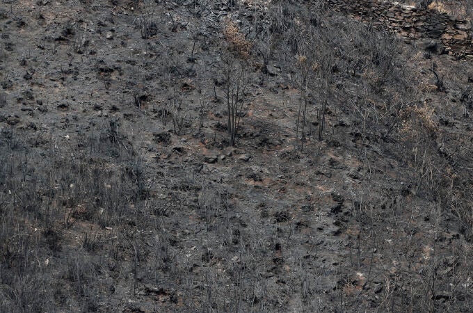 Imagen de archivo de una de las zonas que ardieron este verano. 