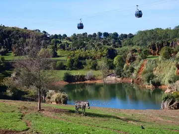 Más de cincuenta artistas participan hoy en el Concurso de Pintura al Aire Libre del Parque de Cabárceno (Cantabria) Más de cincuenta artistas participan hoy en el Concurso de Pintura al Aire Libre del Parque de Cabárceno (Cantabria)