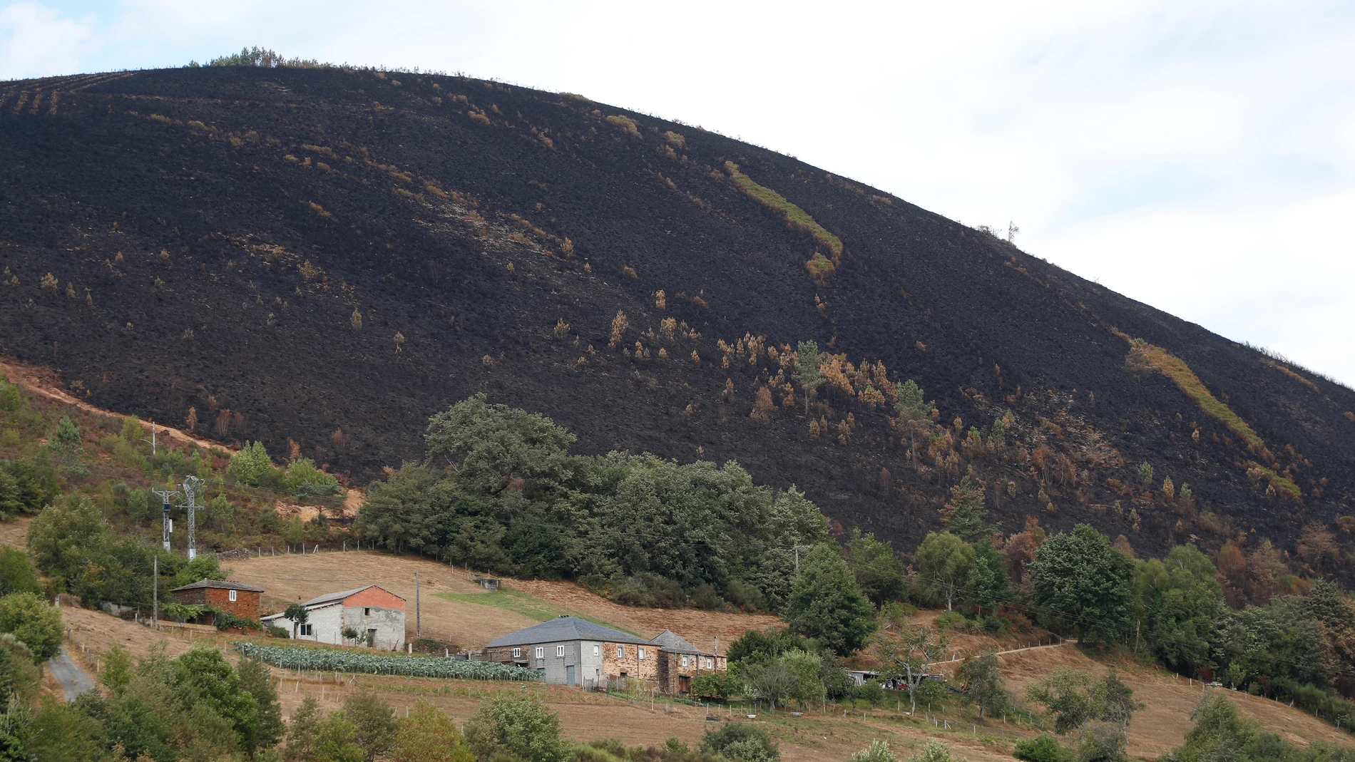 A FONSAGRADA (LUGO), 31/08/2025.- Galicia afronta su cuarta jornada consecutiva sin incendios activos de más de 20 hectáreas y solo están pendientes de extinción los tres megaincendios que han... En la imagen monte calcinado en Aguiar, próximo a San Pedro de Río, en A Fonsagrada, Lugo. EFE/Eliseo Trigo