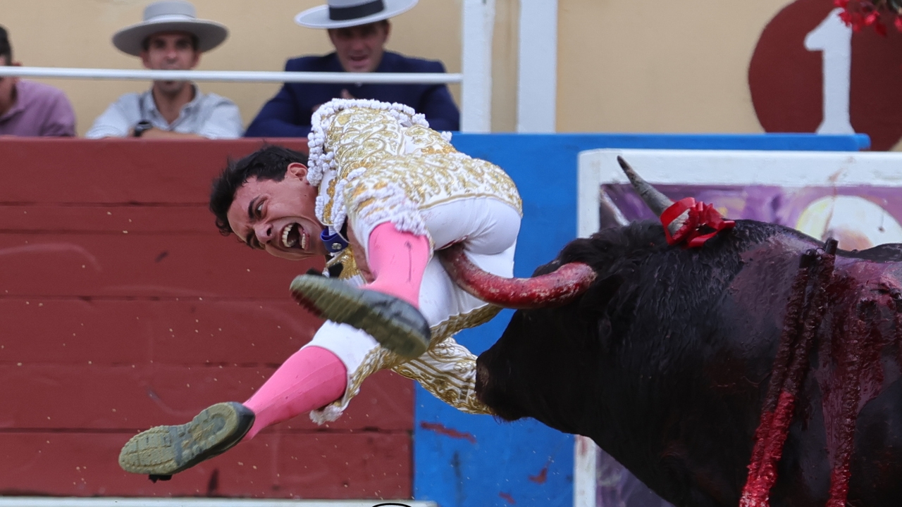 Terribles cornadas a Juan de Castilla (25 y 10 cms), que aguantó en el ruedo antes de ser trasladado a la UCI
