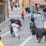 Los toros portugueses de Rosa Rodríguez en un nuevo encierro en Cuéllar