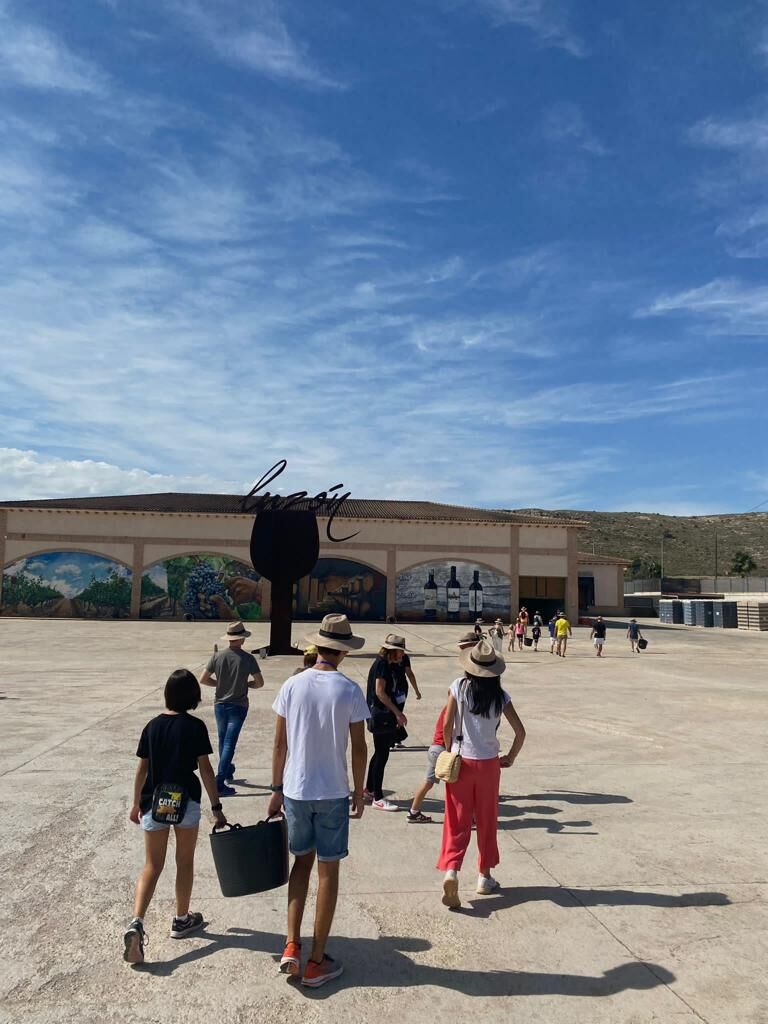 La actividad está abierta a todos los públicos