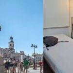 Dormir barato en Madrid: este hotel en pleno centro solo cuesta 100 euros la noche
