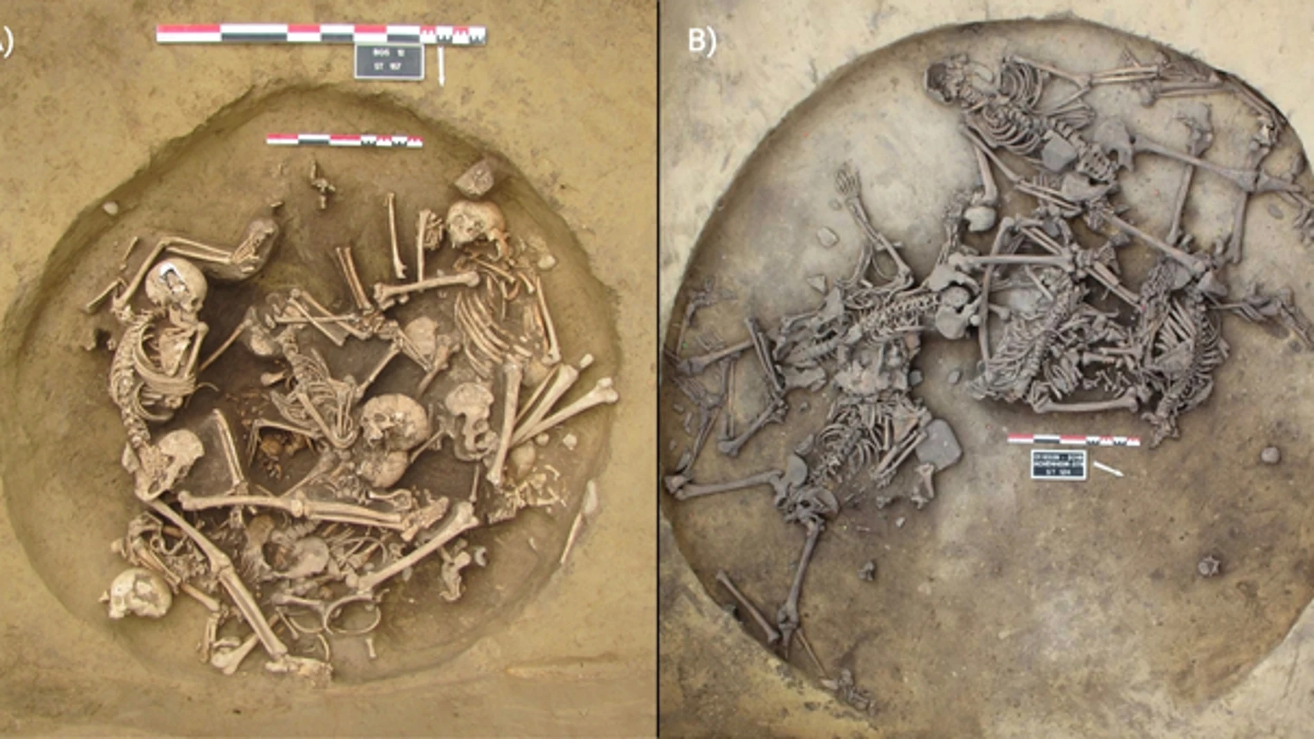 Fosas de tortura y brazos amputados como trofeos de guerra