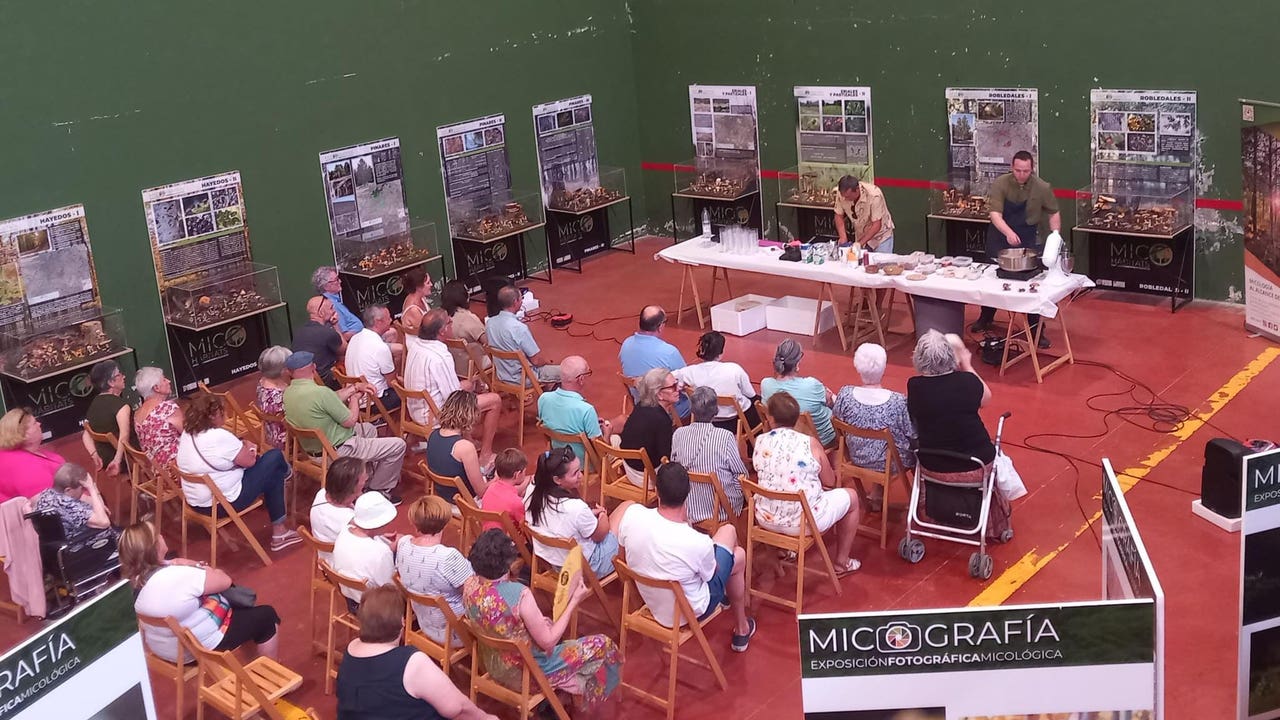 "Éxito absoluto" del Mycological Summer Tour de Montes de Soria
