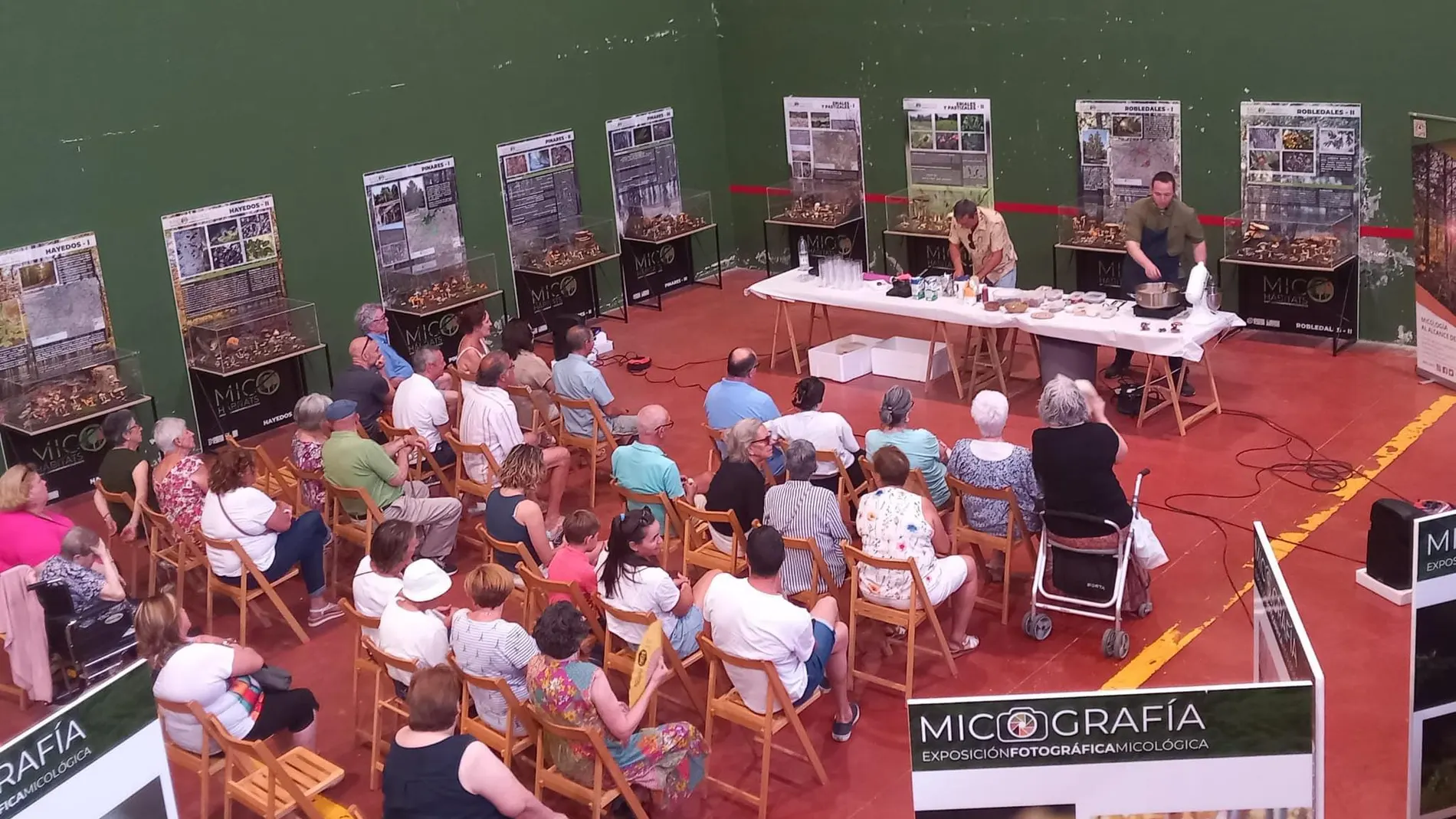 Una de las sesiones del Mycological Summer Tour