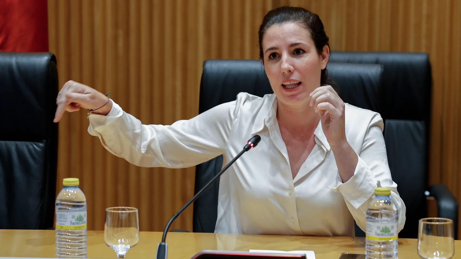 MADRID, 04/09/2025.- La diputada de Vox Rocío de Mer participa en unas jornadas impulsadas por Vox y la Asociación Nacional de Ayuda a las Víctimas de Violencia Doméstica (ANAVID) para analizar "las consecuencias" de la ley integral de violencia de género, este jueves, en el Congreso de los Diputados. EFE/ Chema Moya