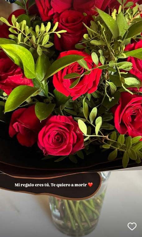 Story de Ana Soria con el ramo de Enrique Ponce