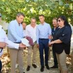 Agricultores de uva de mesa del Vinalopó piden que se respalde al sector para poder mantener los cultivos