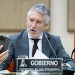 Fernando Grande-Marlaska informa en el Congreso sobre las medidas adoptadas por su departamento ante la grave situación de incendios forestales