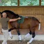 Adolfo Martínez, en acción