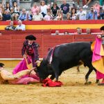 El novillero Bruno Aloi sufre dos cornadas brutales con arrancamiento de safena