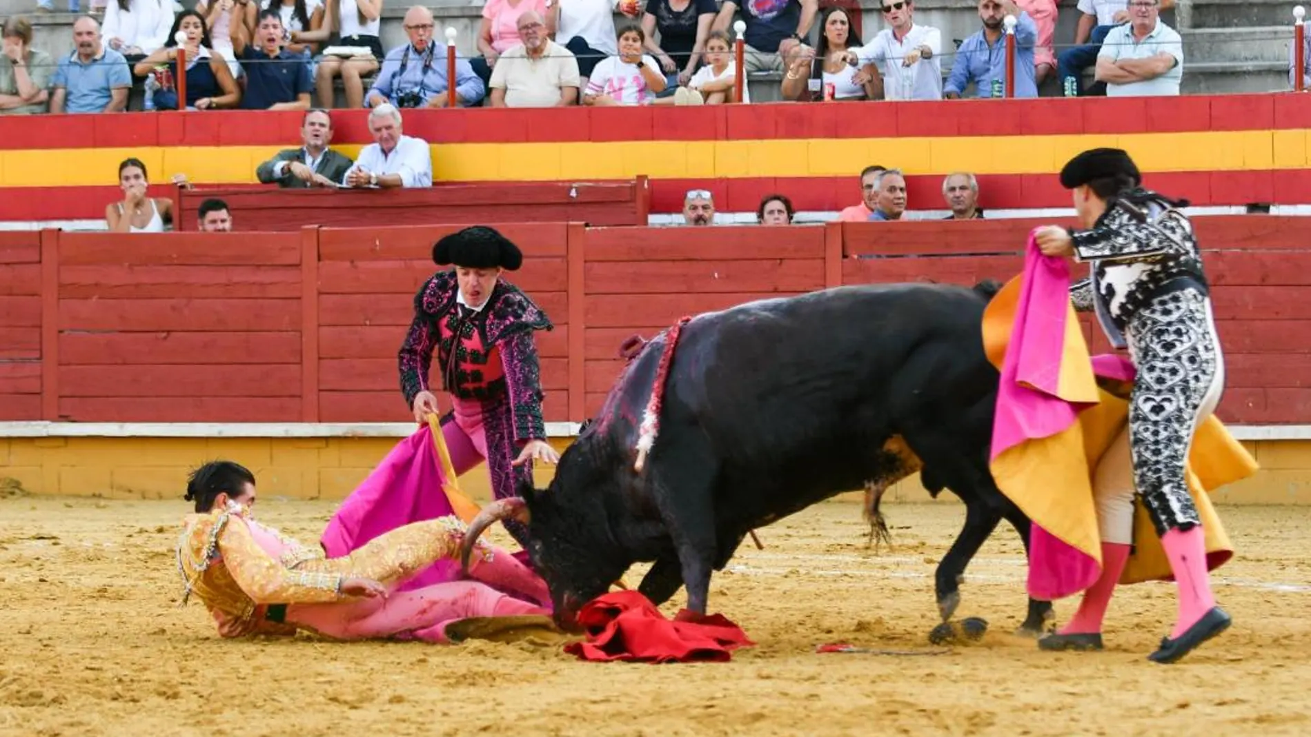 El novillero Bruno Aloi sufre dos cornadas brutales con arrancamiento de safena
