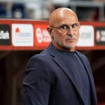 Luis de la Fuente, en el partido de España ante Turquía