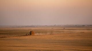 Tierra de cultivos en Tierra de Campos