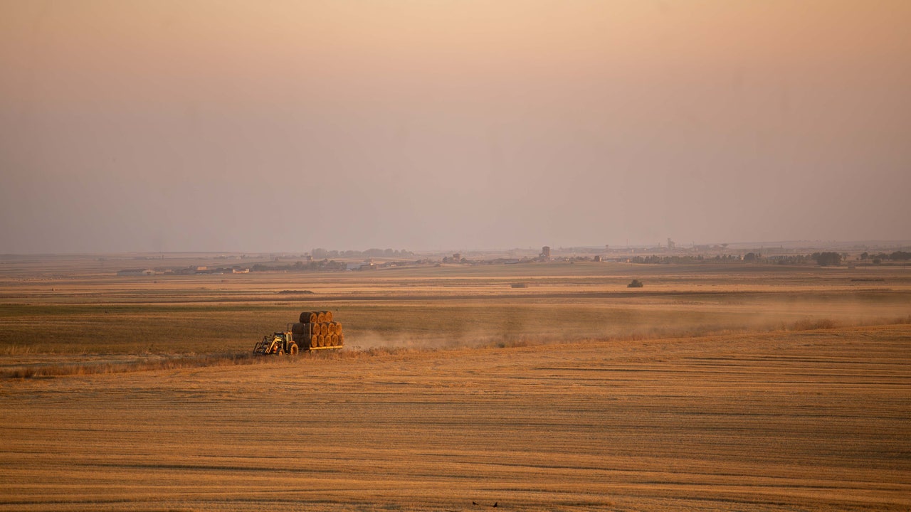 La tierra de cultivo sigue encareciéndose en Castilla y León con subidas del 23% en secano y el 13% en regadío en el último lustro