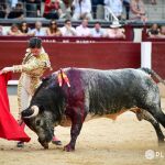 Tres novillos de premio y solo una vuelta al ruedo