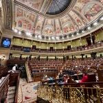 Pleno del Congreso