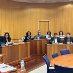 Traiciones, transfugismo y un Vox y PP divididos: lo que hay detrás de la moción de censura en San Antonio de Benagéber