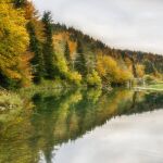 ¿Cuál es el mejor lugar para ver el follaje otoñal en España? Los expertos coinciden