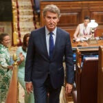 Alberto Núñez Feijóo, en el Pleno del Congreso de los Diputados